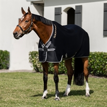 Horseware Rambo Airmax cooler deken disc front